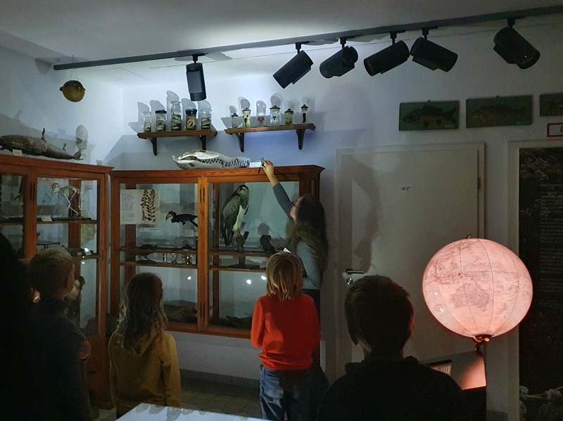 Ich sehe was, was Du nicht siehst: Tiere im Dunkeln