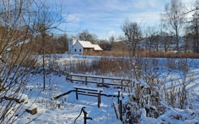 Entwicklung des Moorstichs „Stinkebrink“