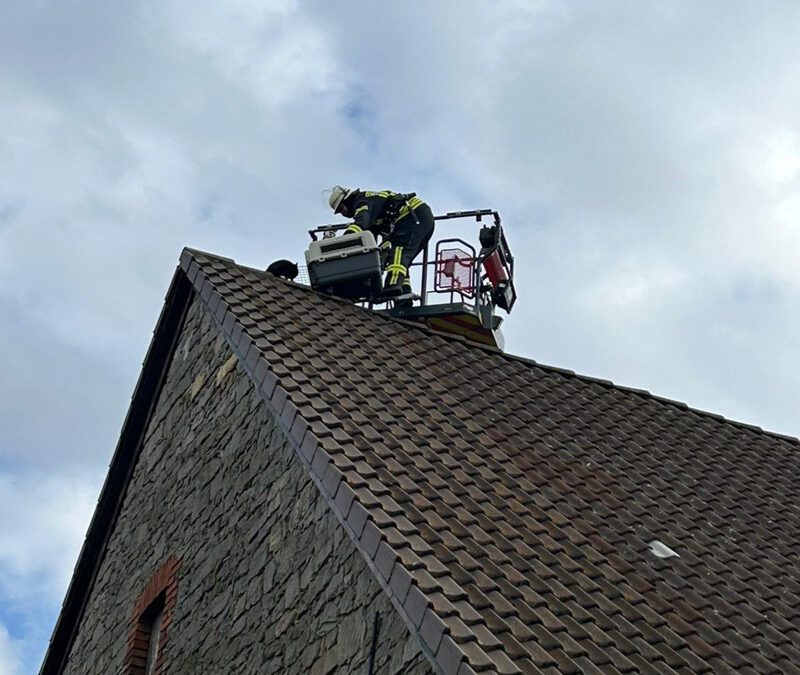 Katze von Dach gerettet