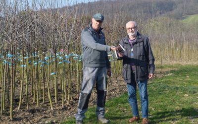 Apfelsortenerhaltungsprojekt 2026