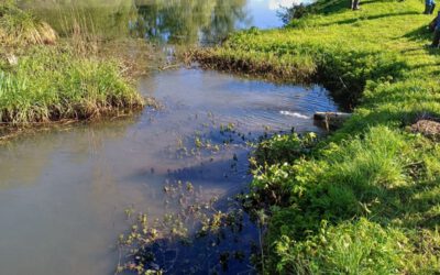 Kreis Lippe lädt zur Gewässerschau 2026 ein