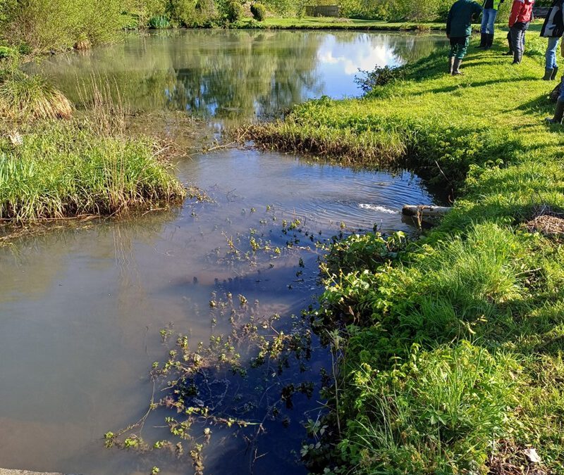 Kreis Lippe lädt zur Gewässerschau 2026 ein