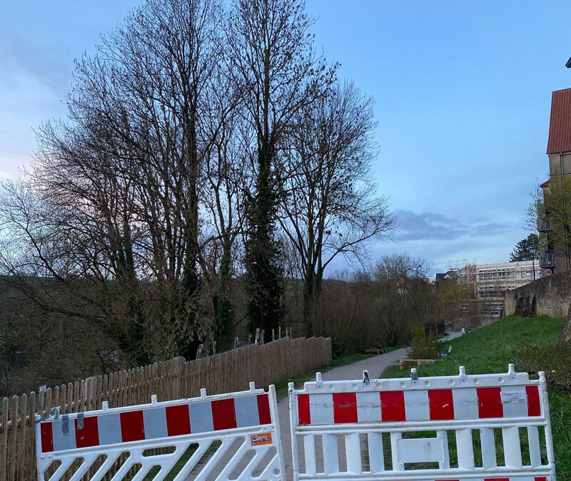 Weinbergweg im Bereich „Im Seligen Winkel 32“ vorübergehend gesperrt