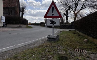 Frühlingserwachen: Amphibien sind wieder unterwegs