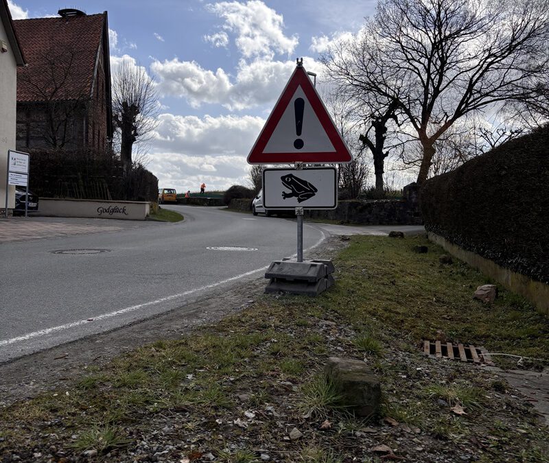 Frühlingserwachen: Amphibien sind wieder unterwegs