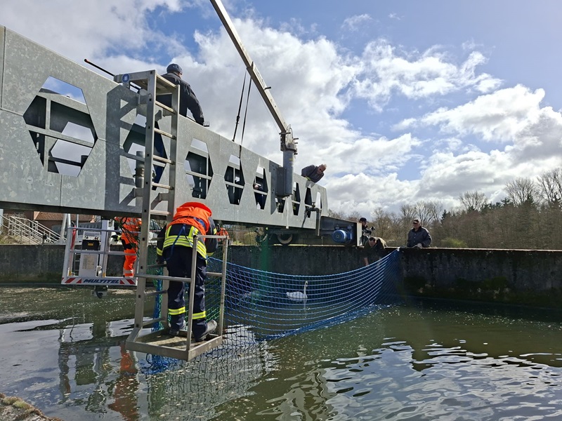 Schwan aus Klärbecken gerettet
