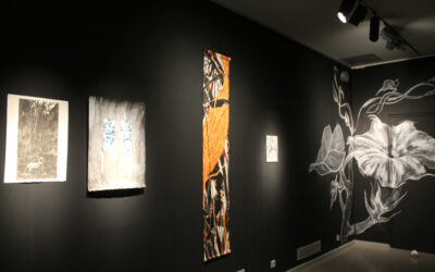 Ausstellungsverlängerung im Museum Hexenbürgermeisterhaus