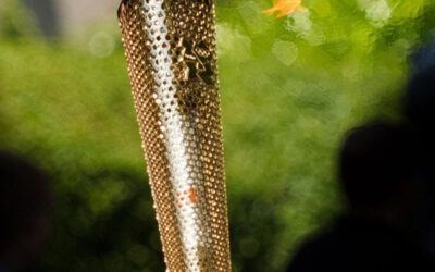 Mitgliederzahl in Sportvereinen gestiegen