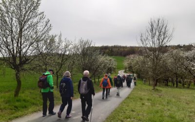Von Bad Salzuflen nach Lemgo: Zweite Etappenwanderung auf dem Hansaweg