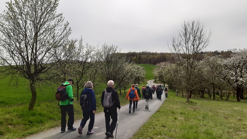 Von Bad Salzuflen nach Lemgo: Zweite Etappenwanderung auf dem Hansaweg