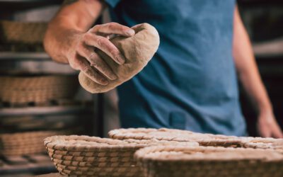 Bäckereien im Kreis Lippe setzen auf Brötchen, die „lecker und fair“ sind