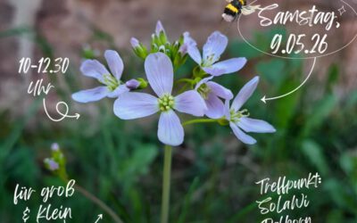 Das Geheimnis des wilden Krauts