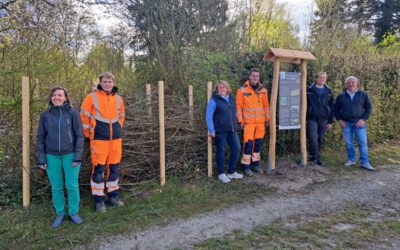 Neuer Igel-Lehrpfad am Erlentreff
