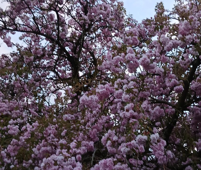 AWO Blomberg unterwegs