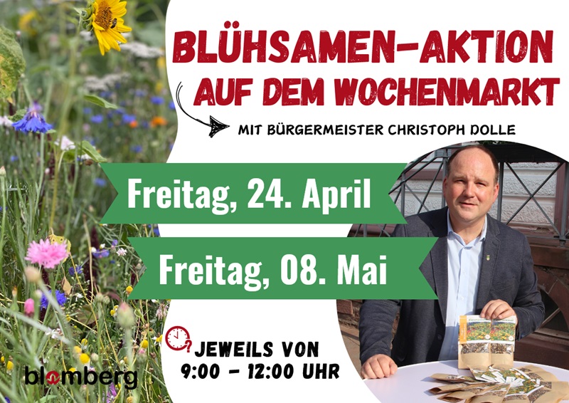 Mehr Natur vor der Haustür: Blomberg verschenkt Wildblumensamen