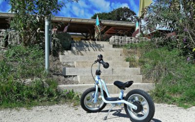 Sicherer Start in den Straßenverkehr