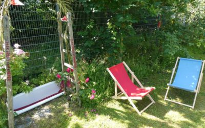 Lernen im Grünen: Die Topehlen-Schule öffnet ihren Schulgarten