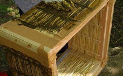 Zwischen Butter und Bienen