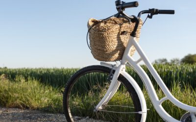 Klimafreundlich und komfortabel zu den Ausflugszielen der Region
