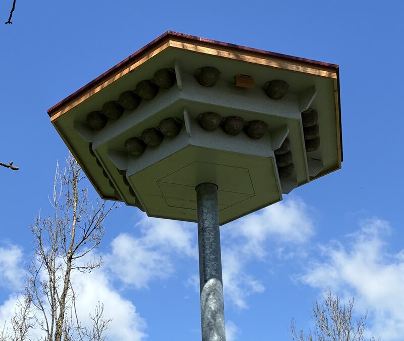 Grüne Infrastruktur: Schwalben- und Fledermaushaus in Veldrom bietet Unterschlupf