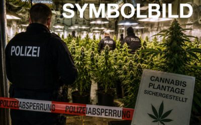 Cannabis-Plantage in Blomberg aufgeflogen