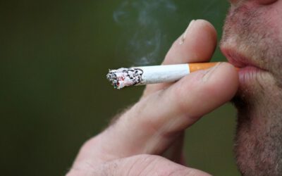 Lungenkrebs weiterhin für mehr als 5 % aller Sterbefälle ursächlich