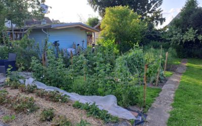 Natur, Schönheit und Nutzen: Gartenführung in Brake