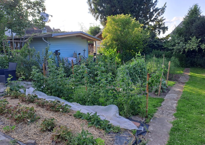 Natur, Schönheit und Nutzen: Gartenführung in Brake