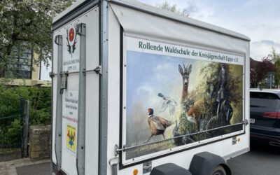 Führung durch den Blomberger Wald