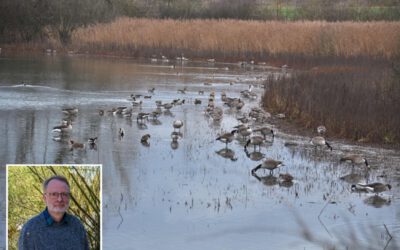 Vortrag „Der Norderteich – einst und heute“