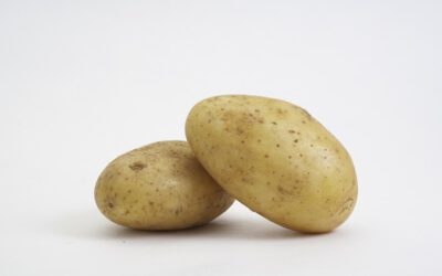 Frühkartoffeln aus NRW