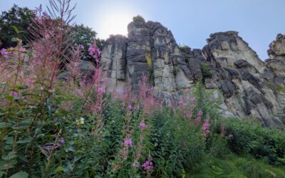 Die lebendige Landschaft der Externsteine entdecken