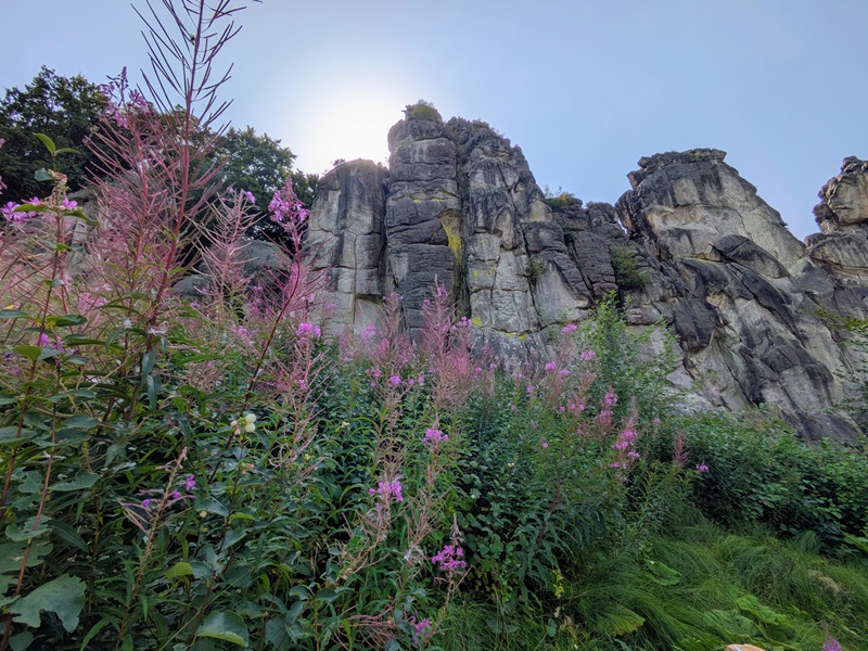 Die lebendige Landschaft der Externsteine entdecken
