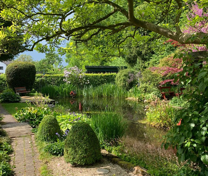 Offene Gärten in Lippe: Garten am Waldrand in Lügde öffnet seine Pforten