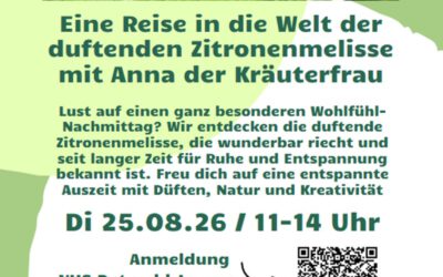 Sommerferienangebot und Sommerfest