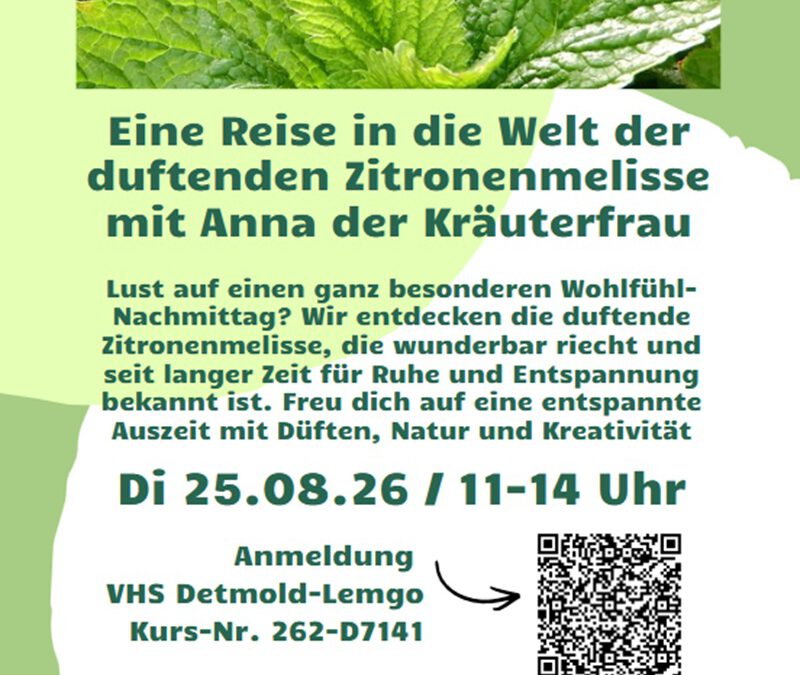 Sommerferienangebot und Sommerfest