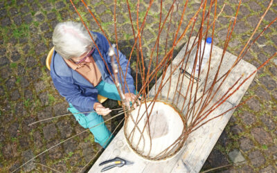Flechtworkshops im LWL-Museum Hellerlecht