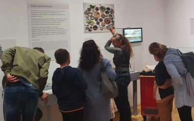 Abenteuer Steinzeit für die ganze Familie