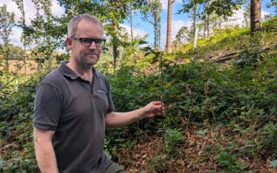 Landesverband fördert wertvolle Biotope für den Umwelt-, Natur- und Artenschutz