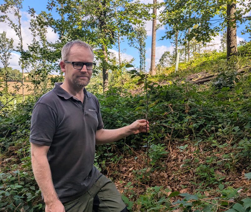 Landesverband fördert wertvolle Biotope für den Umwelt-, Natur- und Artenschutz