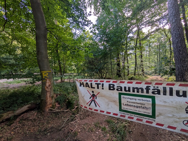 Bauarbeiten für Radweg werden für Verkehrssicherung genutzt