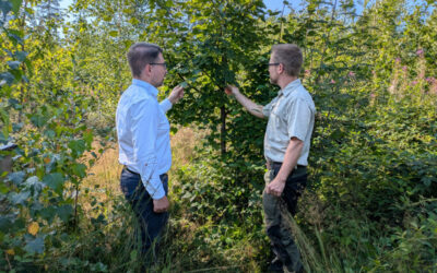 Lobenswertes Engagement der Bürgerschaft für den Wald in Extertal