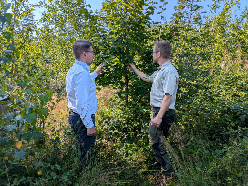 Lobenswertes Engagement der Bürgerschaft für den Wald in Extertal