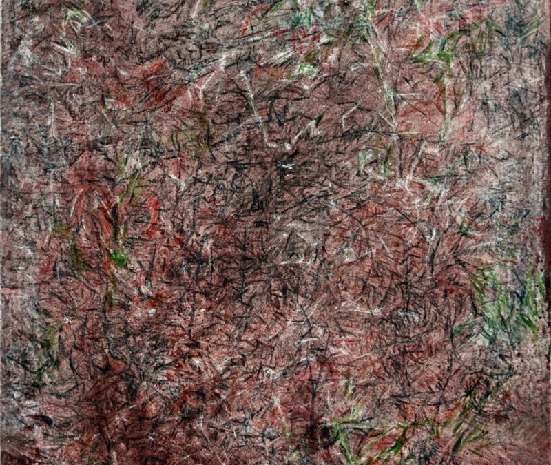„Feuer, Wasser, Luft und Erde“ – Ulrike Schönfelder-Hellwig in der Galerie Haus Bachrach