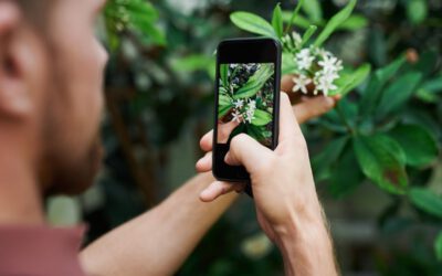 Natur entdecken mit dem Smartphone – Artenvielfalt digital erfassen