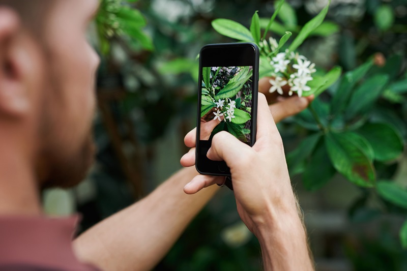 Natur entdecken mit dem Smartphone – Artenvielfalt digital erfassen