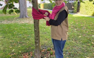 Brustkrebsmonat: Pinke Schals leuchten auch in Lemgo