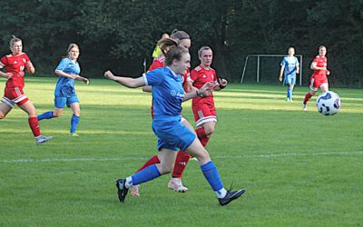 FC Donop-Voßheide – SG Lieme/Bexterhagen 0:1 (0:0)