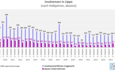 IHK Lippe wertet Insolvenzstatistik aus