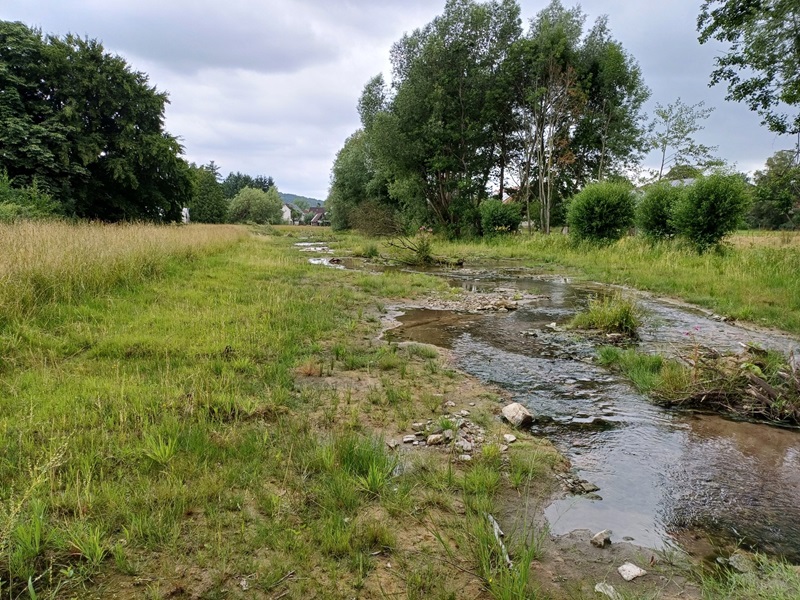 Die EU-Wasserrahmenrichtlinie vor Ort: Wie sich lippische Gewässer entwickeln